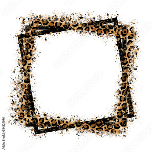 Leopard Frame