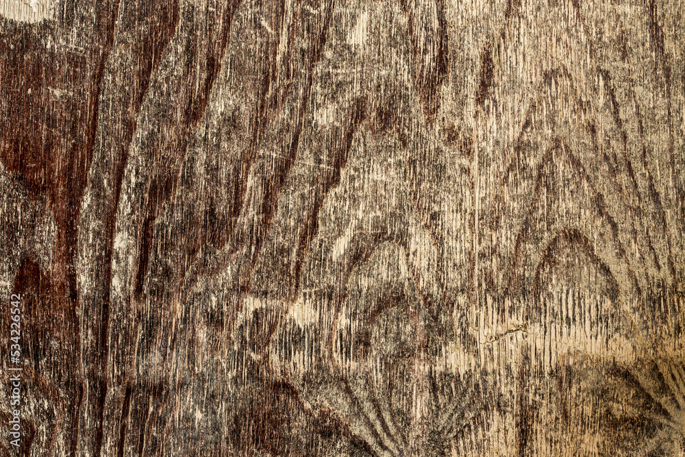 Obraz premium Old brown wood texture