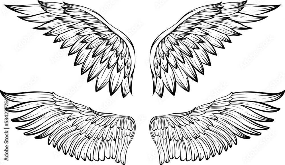 Bird wings vector illustration tattoo style. Hand drawn design element.