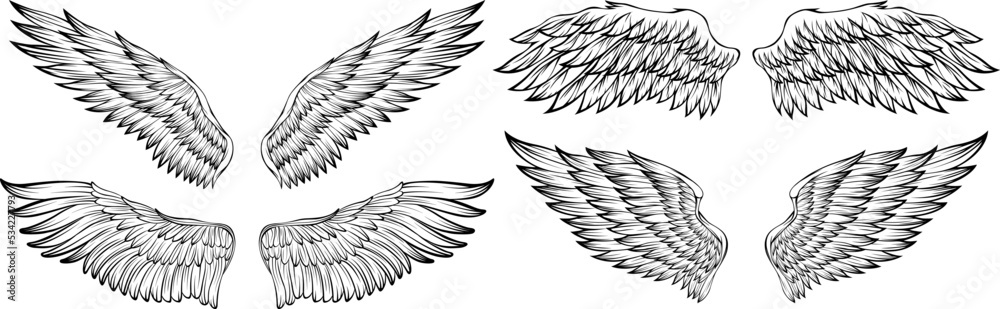 Fototapeta premium Bird wings vector illustration tattoo style. Hand drawn design element.