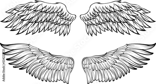 Bird wings vector illustration tattoo style. Hand drawn design element.
