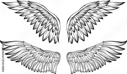 Bird wings vector illustration tattoo style. Hand drawn design element.