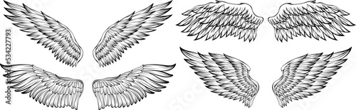 Bird wings vector illustration tattoo style. Hand drawn design element.