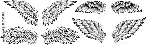 Bird wings vector illustration tattoo style. Hand drawn design element.