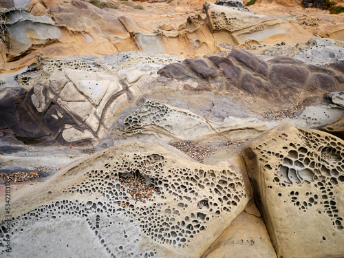 Tafoni Rock and cavernous weathering at coastline  Bean Hollow, California