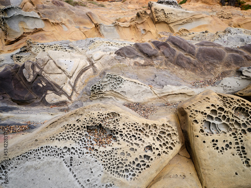 Tafoni Rock and cavernous weathering at coastline  Bean Hollow, California photo