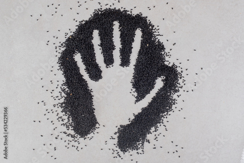 Black cumin grains on hand silhouette on the ground