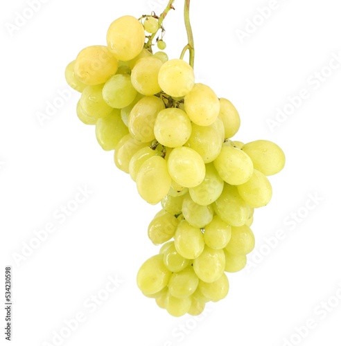 Wet white table grape hanging on white background. 