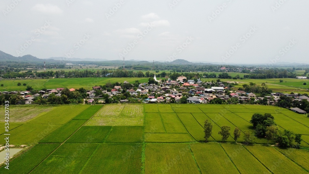 Above the golden fields during the harvest season, beautiful fields are sown with agricultural crops and photographed from above. top view agricultural landscape area green and yellow fields