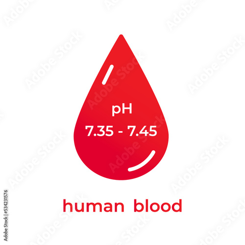 Vector ph human blood level icon isolated on white. Normal pH balance 