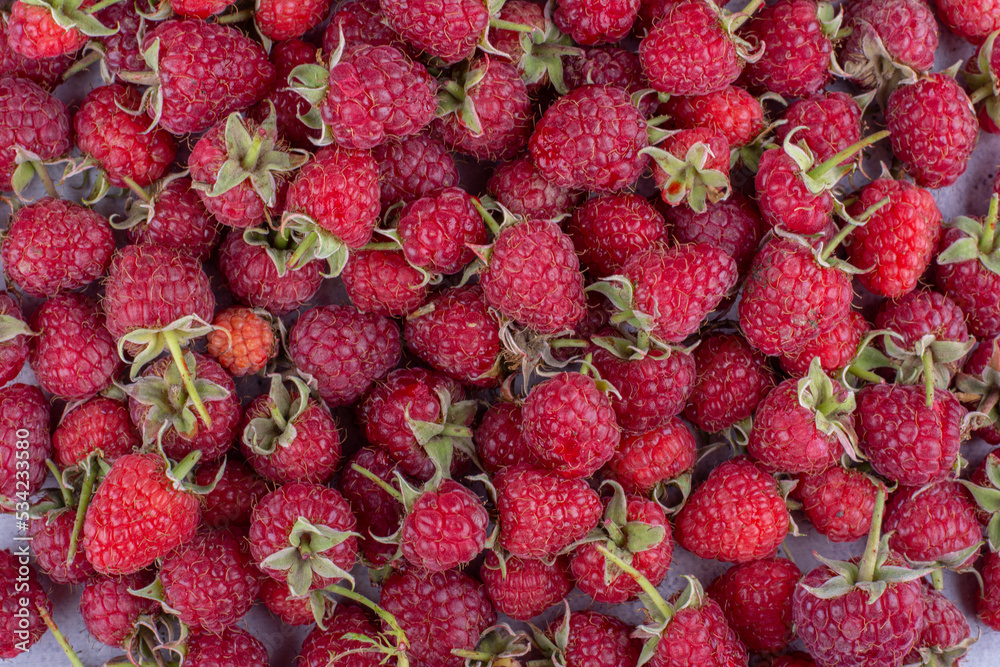 Delicious bundle of fresh raspberry pile Delicious bundle of fresh raspberry pile