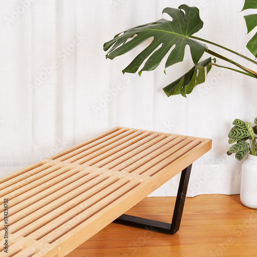 Gorgeous product photo of a Platform Bench with houseplants on wood floor before luxurious white curtains	 photo