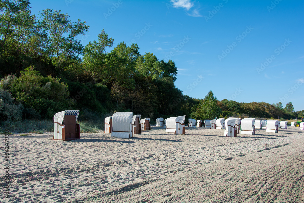 Wicker beach baskets on the Baltic Sea beach with trees Wicker beach baskets on the Baltic Sea beach with trees