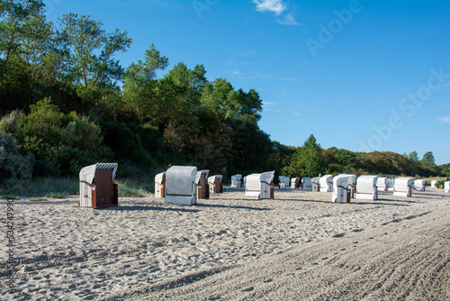 Wicker beach baskets on the Baltic Sea beach with trees