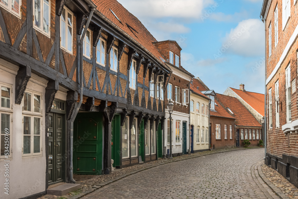 Street and traditional houses in old town of Ribe, Jutland, Denmark