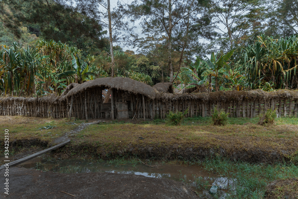 The Honai house is one of the typical Papuan houses, in the Baliem valley, Jayawijaya Regency, Papua.