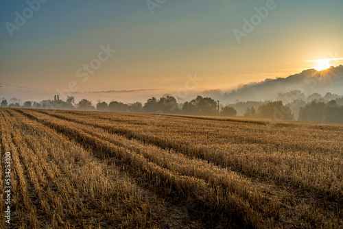 Paysage campagne 1436