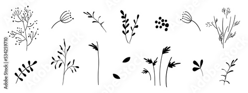 Black isolated silhouettes of field plants, pollen and leaves. Set of 14 abstract elements on a white background. Use as stickers, tattoo, decoration, etc.