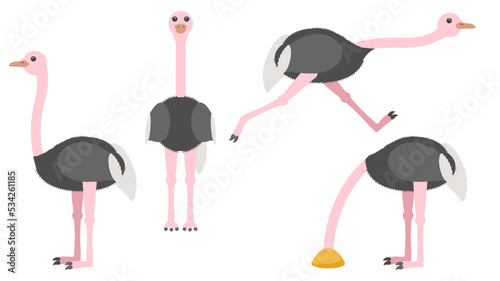 Set Abstract Collection Flat Cartoon Different Animal Ostriches Stand, Running, Hides His Head In The Sand Vector Design Style Elements Fauna Wildlife