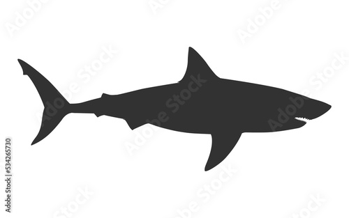 shark great white pointer silhouette