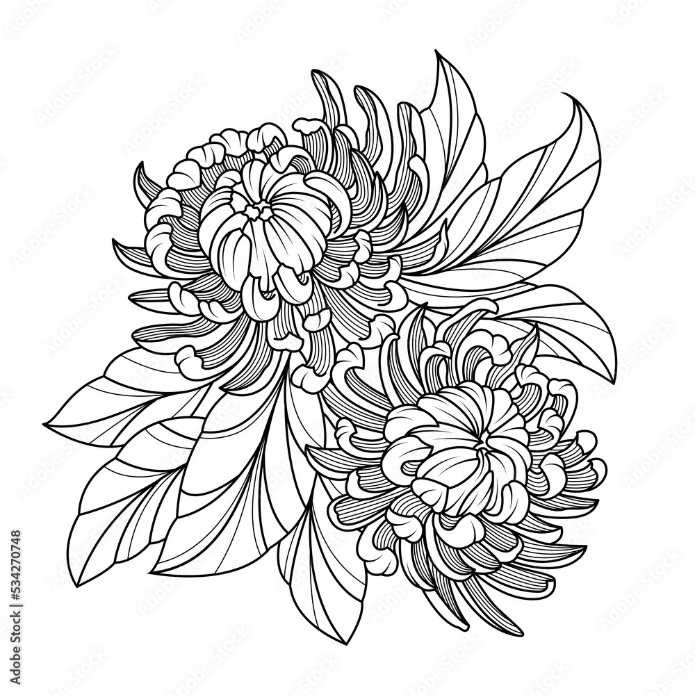 Monochrome chrysanthemum in line art style.