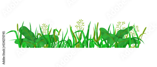 Green grass in side view isolated