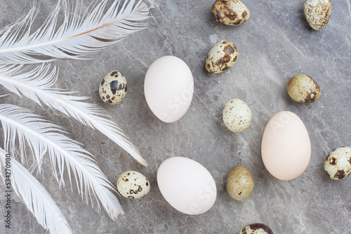 Fresh eggs with feathers on a marble background