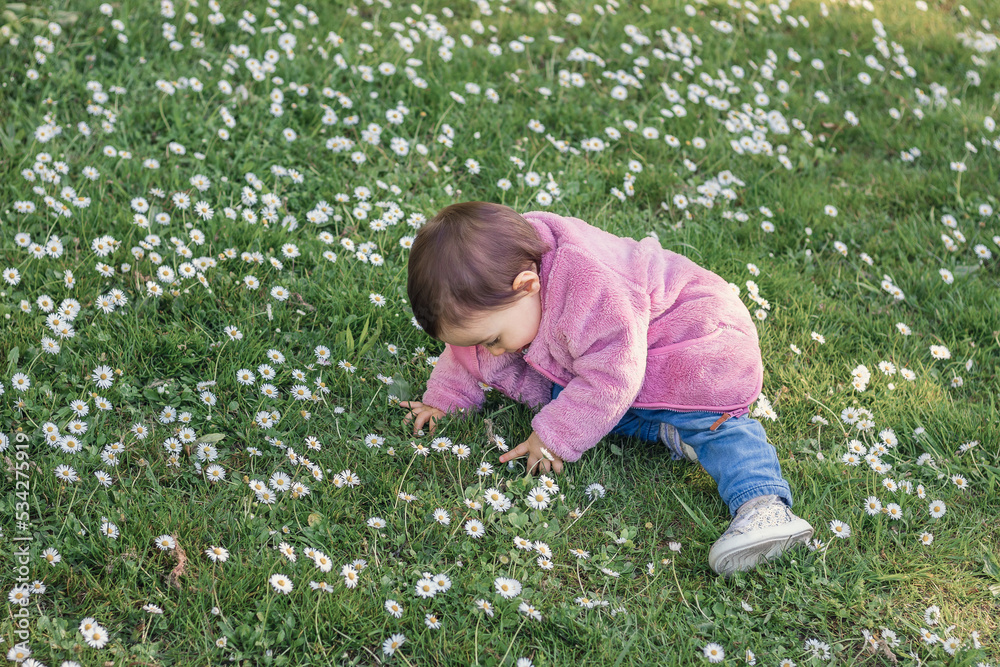 Baby girl, playing and exploring nature, sitting on the ground in a park full of flowers. Happy childhood concept, contact with nature. Baby girl, playing and exploring nature, sitting on the ground in a park full of flowers. Happy childhood concept, contact with nature.