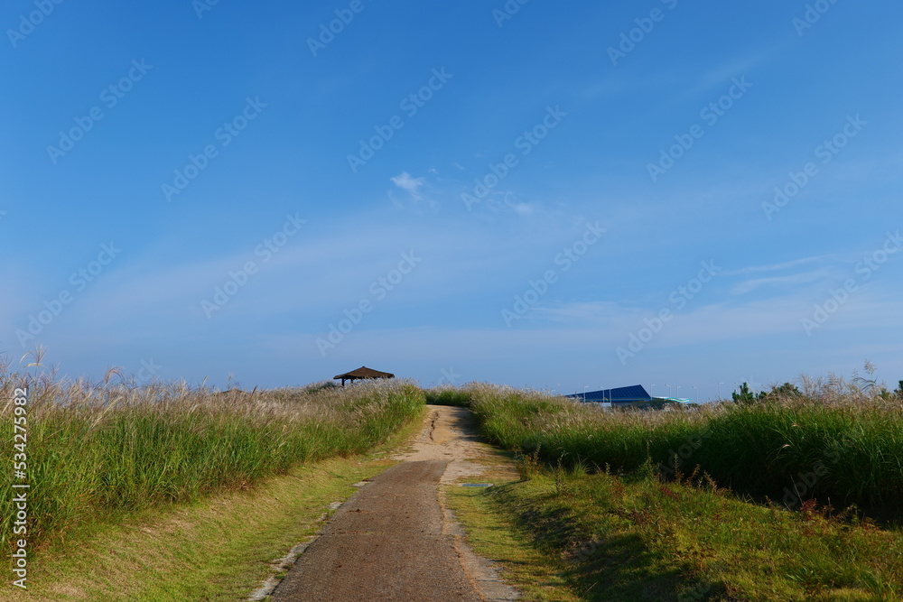 길거리, 경관, sky, 네이처, 들판, 목초, 경로, 시골, 국가, 농촌, 여름, green, 구름, 목초지, 길, 수평선, 구름, 여행, 아웃도어, 나무, 때, 궤도, 봄, 고개, 경치