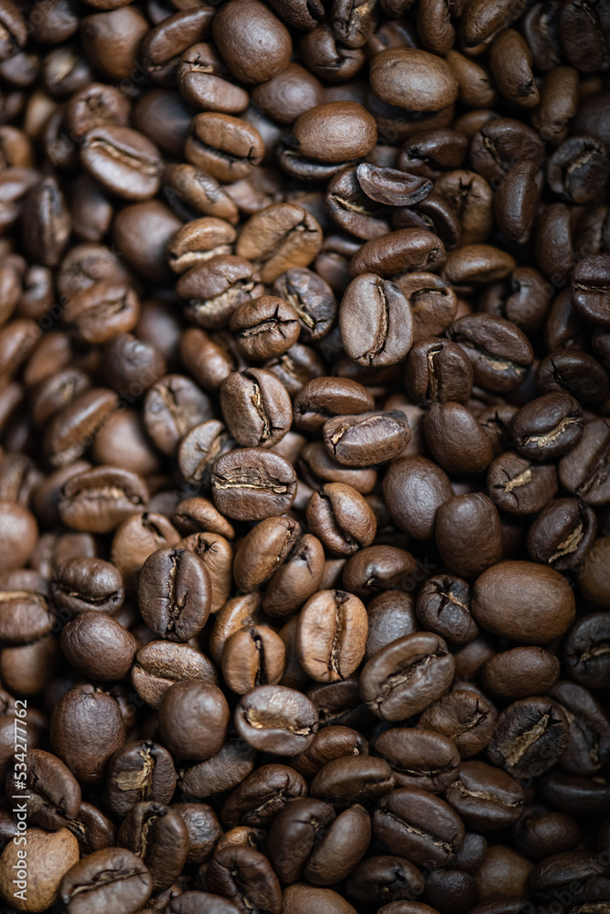 specialty coffee roasted specialty coffee roasted