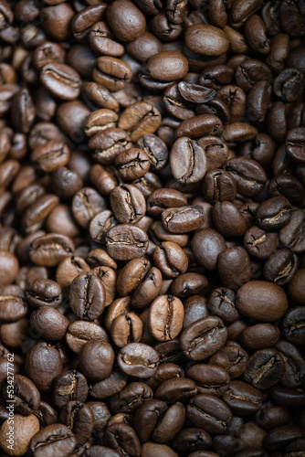 specialty coffee roasted