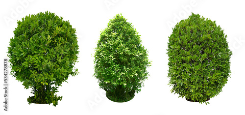 Collection of Tree decorations, garden. bush, shrub Characteristics of bending to turn into a spiral. total 3 trees. 
