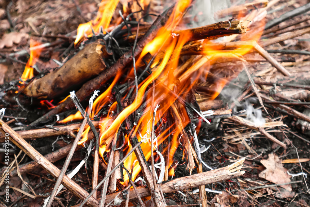 Close up of fire burning fire with wood sticks Close up of fire burning fire with wood sticks