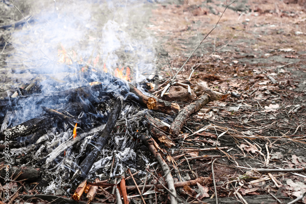 Close up of fire being extinguished in nature during autumn season Close up of fire being extinguished in nature during autumn season