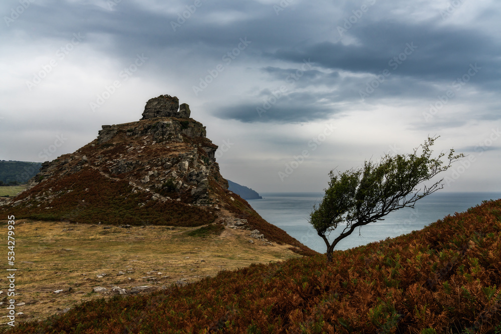 Fototapeta premium Valley of the Rocks landscape in Exmoor in North Devon with an expressive overcast sky