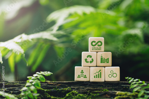 Circular economy concept.wooden cubes with a Circular economy icon on a green background. circular economy for future growth of business and design to reuse and renewable material resources. photo
