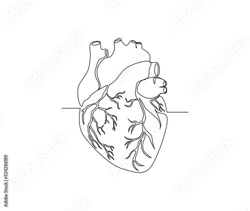 Continuous one line drawing of Human Heart. Heart line art drawing vector illustration. Healthy medicine art concept.