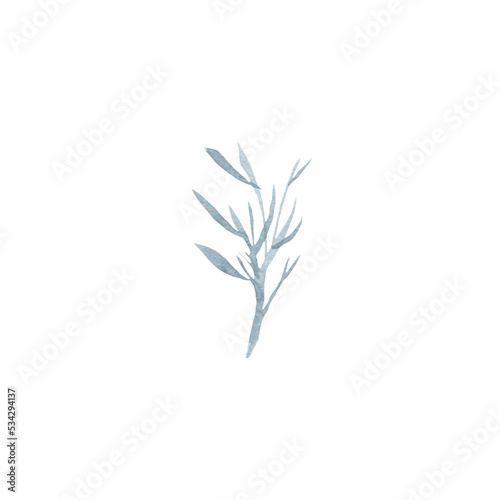 Watercolor winter leaves. It s perfect for cards  patterns  flowers compositions  frames  wedding cards and invitations.