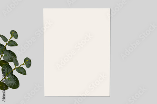 White invitation mockup with eucalyptus branch. On a gray background.