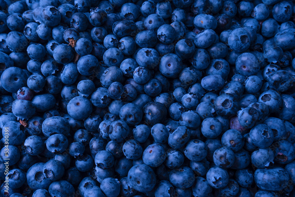 Fresh blueberry background. Texture blueberry berries close up.