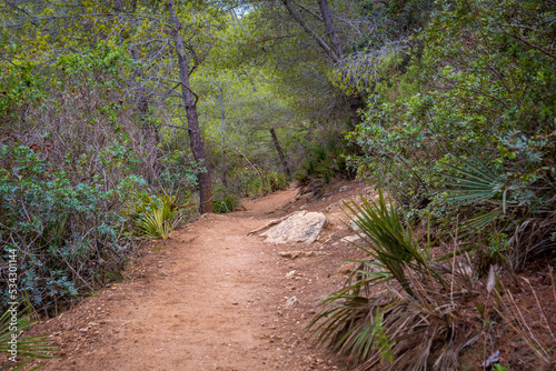 Εκτύπωση καμβά Hiking path under lush foliage on the seven hanging valleys hike on the Algarve