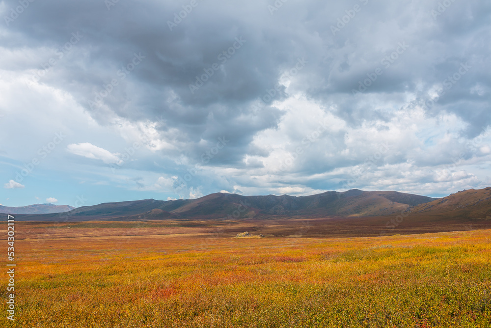 Motley autumn landscape with sunlit high mountain plateau and mountain range under dramatic sky. Vivid autumn colors in mountains. Sunlight and shadows of clouds in changeable weather. Sunny and rainy