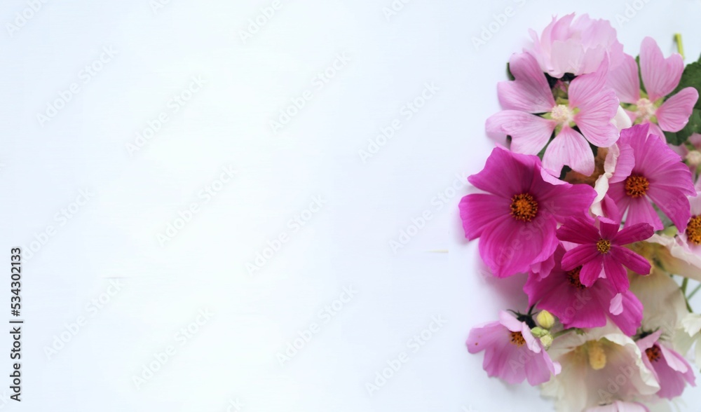 Pink flowers in a festive bouquet on a white background. Summer flower arrangement. Background for a greeting card.