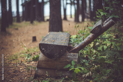 Wooden bench for relax near forest road