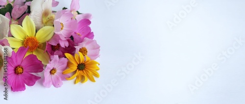 Pink flowers in a festive bouquet on a white background. Summer flower arrangement. Background for a greeting card.