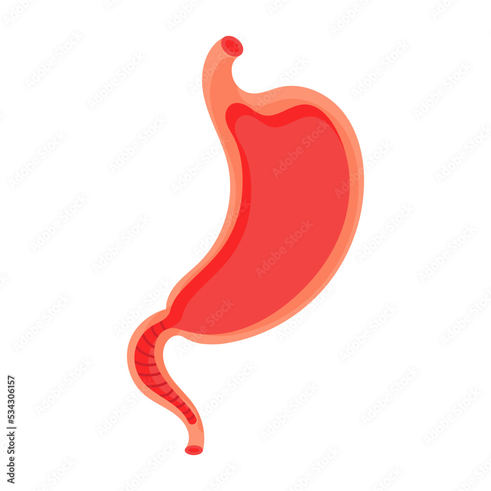 Empty stomach. Heaviness of stomach, bloating, pain in the alimentary