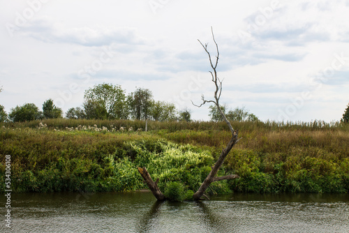 Beautiful landscape - the Klyazma river between the banks with green grass and trees against a cloudy sky on a summer day in the Moscow region © Inna