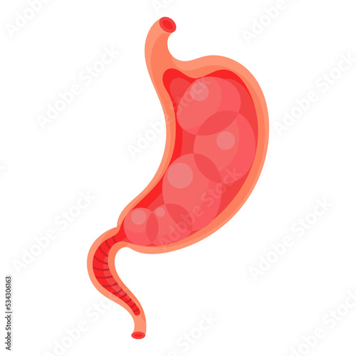 Full stomach. Heaviness of stomach, bloating, pain in the alimentary tract and acid heartburn. Duodenal problems and human organ health cartoon digestion system vector illustration.