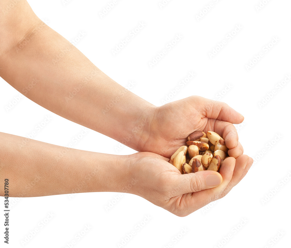 brazil nuts in hand path isolated on white brazil nuts in hand path isolated on white