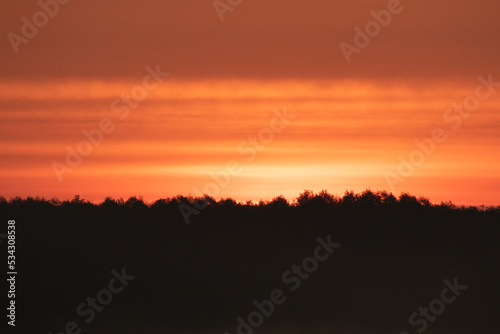 sunrise over the forest